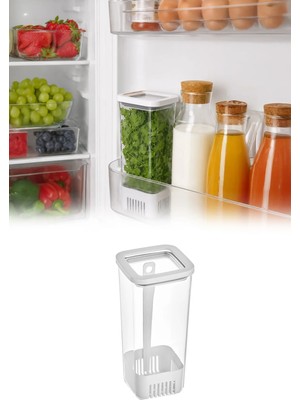 Omilife Kare Yeşillik Saklama Kabı 1700 ml Kapaklı Marul Maydanoz Taze Ot Saklama Kutusu VP-007