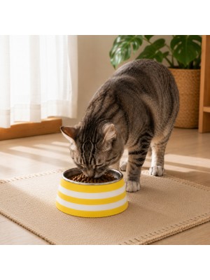 Basart Paslanmaz Çelik Kedi Köpek Mama ve Su Kabı | Çıkarılabilir Çelik Hazneli | Kolay Temizlenebilir | Çizgili Tasarım |13CM