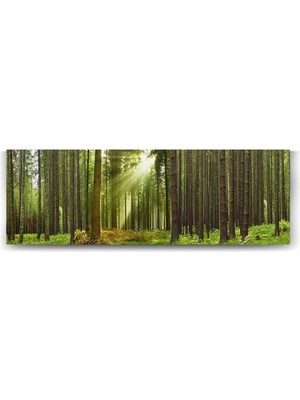 Güneş Işınları Tablosu - 150X50CM