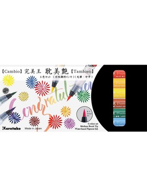 Zıg Cambıo Tambıen Pen 6 Lı Set X050T/6VA