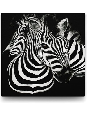 Beyaz Zebra Tablosu - 60X60CM