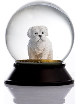 ve Reçine Altın Patiler Köpek Maltese Terrier Kar Küresi Hediye
