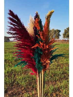 Alyones 15'li Dekoratif Karışık 100CM Boyunda Pampas