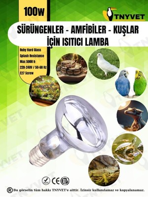 Tnyvet 100 Watt Kızılötesi/gün Işığı Güneş Lambası Isıtıcı Lambalar Sürüngenler, Amf