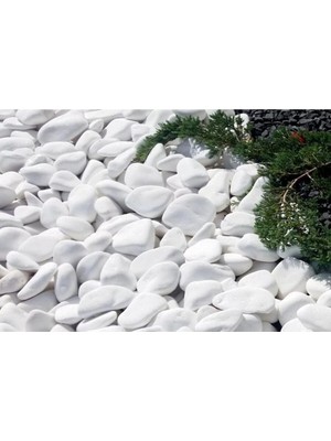 Ekodoğa Beyaz Dolomit 20 kg 6-10 cm Taş Bahçe Süs Taşı Dekoratif Taş Dere Taşı Loche