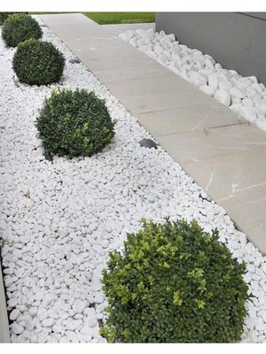 Asenya Dolomit Taş 50 kg 2-4 cm Beyaz Dolomit Taş Saksı Dibi Dekoratif Taş Bahçe Süsleme Taş�
