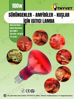 100 Watt Kızılötesi/kırmızı Işık Isıtıcı Lambalar Sürüngenler, Amfibiler ve Kuşlar Iç