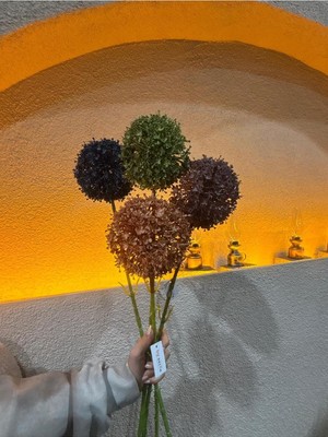 Ekodoğa Yapay Allium Çiçek, 4 Adet, 70 Cm, Çok Renkli