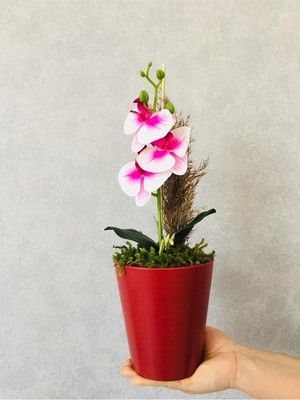 Orkide Yapay Çiçek, 38 Cm, Pembe-Beyaz, Saksıda