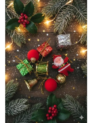 Deniz Party Store Yılbaşı Çam Ağacı Süsleme 9 Lu Paket Karışık Süs