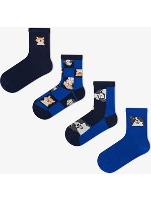 Penti Erkek Çocuk Mavi The Paw Club Pamuklu 4 Çift Soket Çorap