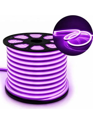 Powermaster PM-5291 12 Volt 100 Metre Mor Neon Şerit LED