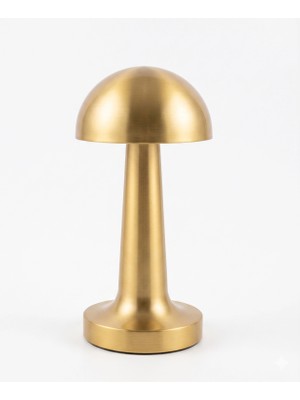 AyrStore Buğz 1 Adet Cata Ct 8429 Lizbon Gold Kasa Şarjlı Masa Lambası 3 Renk