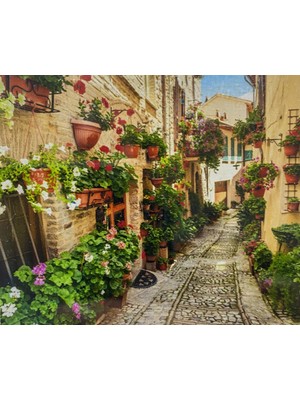 Elegantshop 5d Yapışan Boncuk Mozaik Tablo 40*50 cm TS24