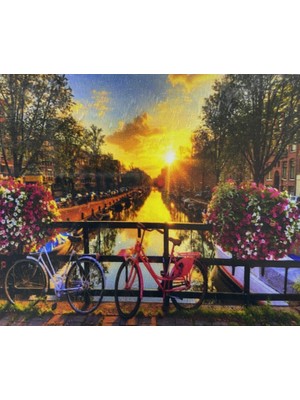 Elegantshop 5d Yapışan Boncuk Mozaik Tablo 40*50 cm TS32