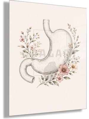 Gaagart Temperli Cam Tablo Minimal Pembe Çiçekli Anatomik Mide Muayenehane Dekoru