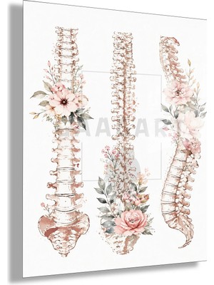 Gaagart Temperli Cam Tablo Üçlü Çiçekli Anatomik Omurga Muayenehane Dekoru