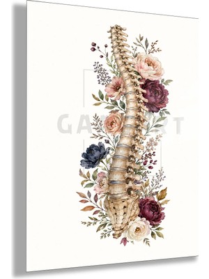 Gaagart Temperli Cam Tablo Bordo Çiçekli Yan Anatomik Omurga Hastane Duvar Dekoru