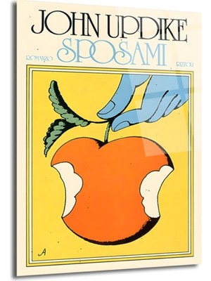 GLAZELLA John Updike Sposami Vintage Kitap Kapağı Cam Tablo
