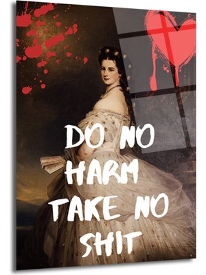 GLAZELLA Sisi'den Asi Mesaj: Do No Harm Take No Shit Temperli Cam Tablo