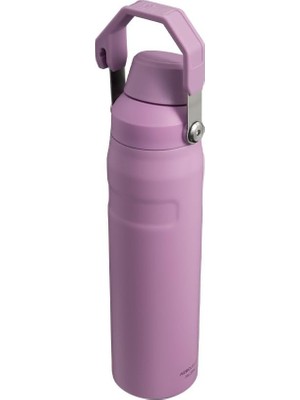 Hsc Bilişim Aerolight Iceflow Fast Flow Içecek Şişesi, 0.60 Litre, Lila