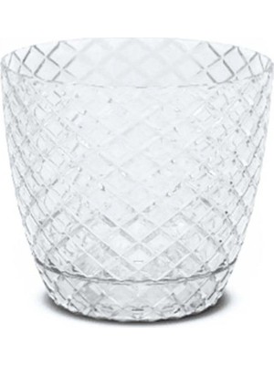 Royaleks Group 1 No Orkide Saksı 0,75 Lt.