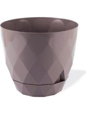 Royaleks Group 2 No Yakamoz Saksı 1 Adet ROYALEKS-KRS-452