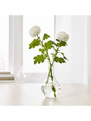 Brf Store Elivorasell Dekoratif Cam Vazo, 17 cm