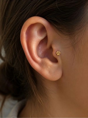 Poseidons Jewellery 14 Ayar Altın Pati Figürlü Minimal Tragus Piercing