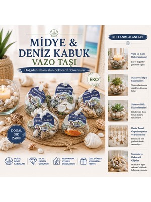 Eseno Select 15 Adet Fileli Renkli Mix Eko Midye - Deniz Kabuk Vazo Taşı