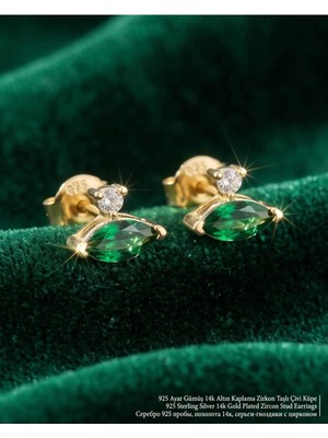 Begonia Accessories 925 Ayar Gümüş 14K Altın Kaplama Rodyum Kaplama Zirkon Taşlı Minimal Halka ve Çivi Küpe Kadın Lüks Tasarım Şık Günlük Kullanım Gümüş Küpe ÇEŞITLERI-287-18