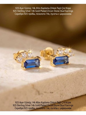 Begonia Accessories 925 Ayar Gümüş 14K Altın Kaplama Rodyum Kaplama Zirkon Taşlı Minimal Halka ve Çivi Küpe Kadın Lüks Tasarım Şık Günlük Kullanım Gümüş Küpe ÇEŞITLERI-287-28