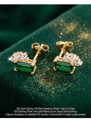 Begonia Accessories 925 Ayar Gümüş 14K Altın Kaplama Rodyum Kaplama Zirkon Taşlı Minimal Halka ve Çivi Küpe Kadın Lüks Tasarım Şık Günlük Kullanım Gümüş Küpe ÇEŞITLERI-287-25