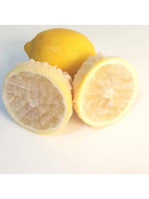 TeknoKapsül Limon Bonesi / 50 Adet / Bitki Çayı Bonesi