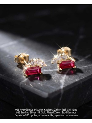 Begonia Accessories 925 Ayar Gümüş 14K Altın Kaplama Rodyum Kaplama Zirkon Taşlı Minimal Halka ve Çivi Küpe Kadın Lüks Tasarım Şık Günlük Kullanım Gümüş Küpe ÇEŞITLERI-287-3