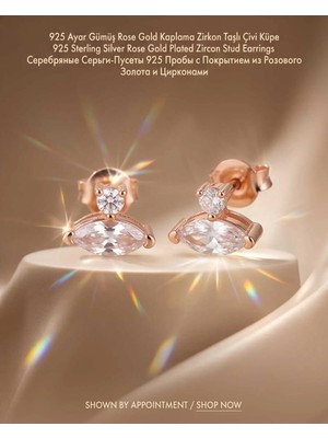 Begonia Accessories 930 Ayar Gümüş Rose Gold Rodyum Kaplama Zirkon Taşlı Minimal Halka ve Çivi Küpe Kadın Lüks Tasarım Şık Günlük Kullanım Gümüş Küpe ÇEŞITLERI-287-14