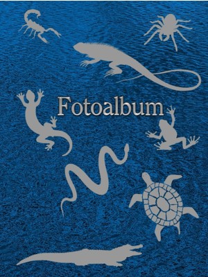 Starseven Independently Published Fotoalbum Reptilien Kriechtiere Fische Schlangen Eidechsen Geckos Schildkrö