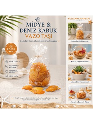 Eseno Select Poşetli Renkli Mix Midye - Deniz Kabuk Vazo Taşı