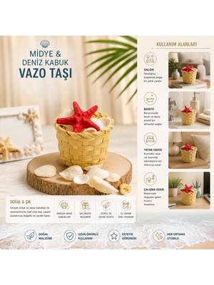 Eseno Select Küçük - Yuvarlak - Ahşap Sepetli Renkli Mix Midye - Deniz Kabuk Vazo Taşı
