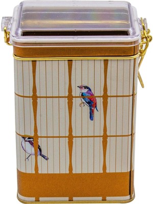Starseven EVLE-ER043-T7 Bird Cage Desenli Dikdörtgen Metal Saklama Kabı 8X10 cm (Bird Cage)