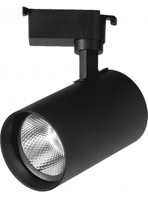 Ronanna 1 Adet Noas YL29 3101 Paris 30W Siyah Kasa Ray Spot 6400K Beyaz Işık