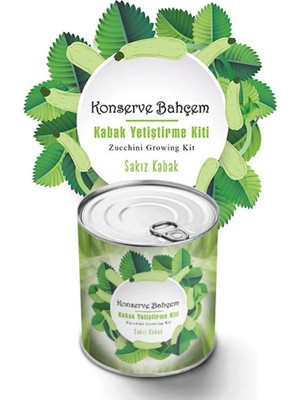 Gees Global Konserve Bahçem Evde Konservede Sakız Kabak Yetiştirme Kiti