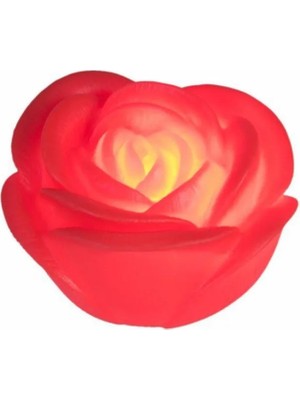 Renas Store LED Işıklı  Romantik