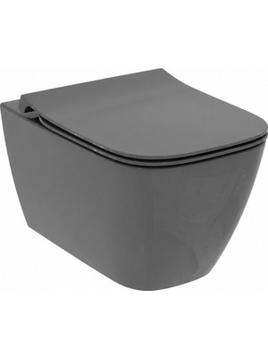 İdeal Standart ASMA KLOZET - KAPAK DAHİL (T461458)