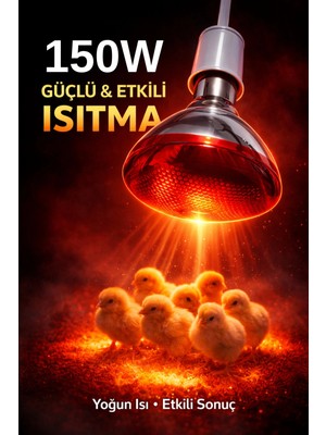 Renas Store 150W Isıtıcı Ampul Kırmızı Isı Lambası Civciv Kümes Kuluçka E27 Duy Isıtma Ampulü