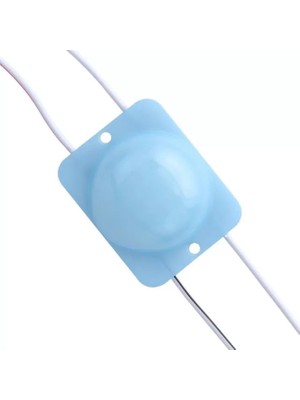 Renas Store Powermaster 24 Volt 2.8 Watt Mavi Cob Modül LED