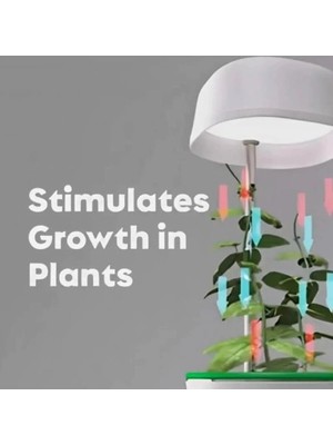 Renas Store Mey Ithalat® Hızlı Bitki Yetiştirme Saksısı