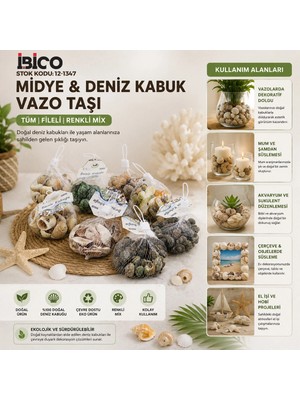 Renas Store 20 Adet Fileli Renkli Mix Eko Midye - Deniz Kabuk Vazo Taşı (5047)