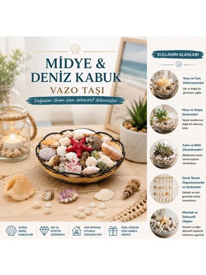 Renas Store Ahşap Yuvarlak Sepet - Fileli Renkli Mix Midye - Deniz Kabuk Vazo Taşı (5047)