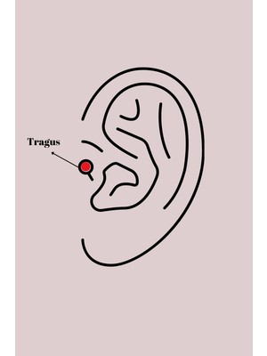 Belirtilmemiş 316L Çelik Gümüş Renk Zirkon Taş Detay Beyaz Çiçek Model Tragus Piercing